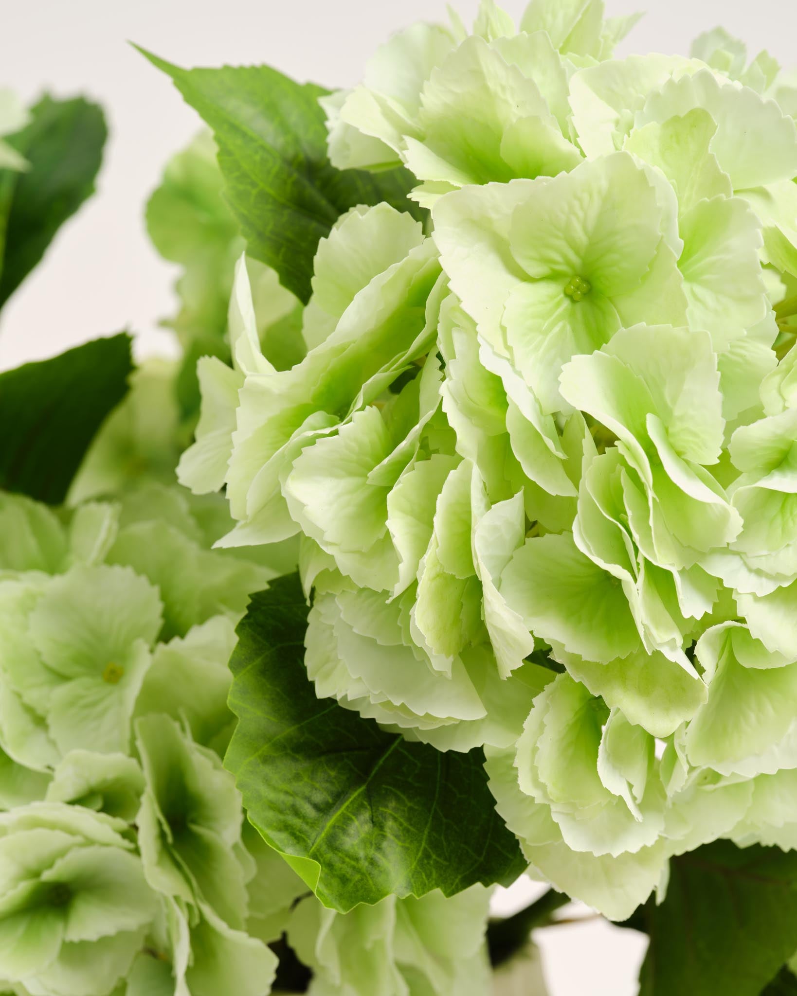 Zijden Hortensia Boeket | Good MC.21